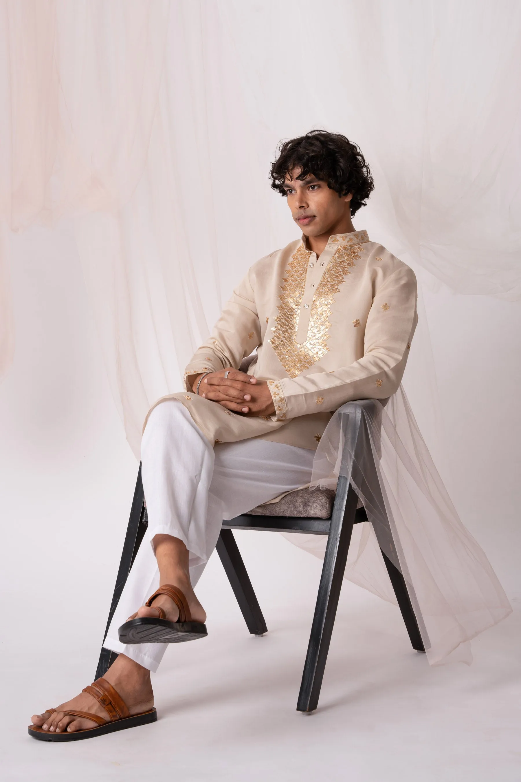 Almond Brown Embroidery Kurta with Jari Work for men (Only Kurta)
