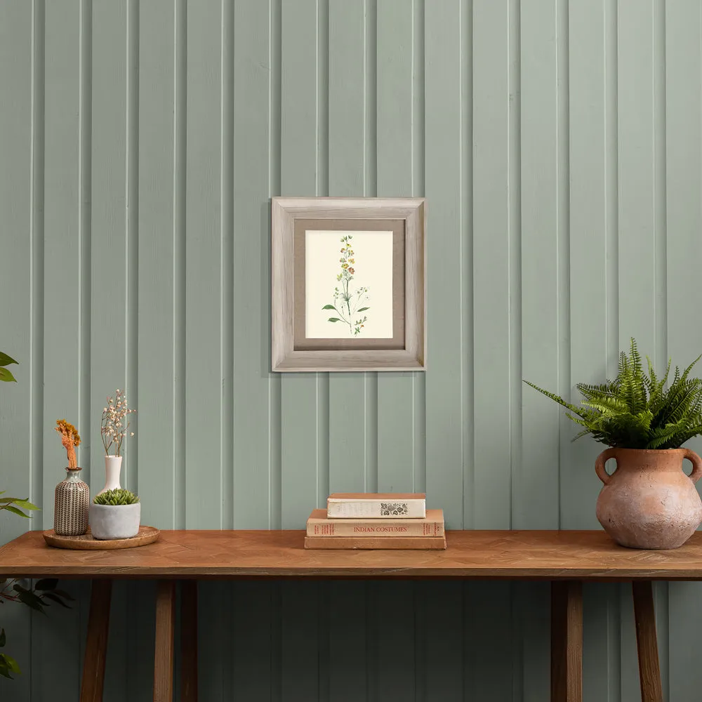 Bonnie Framed Print Birch