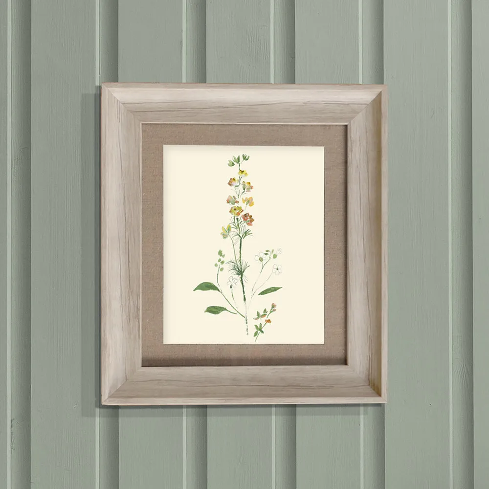 Bonnie Framed Print Birch