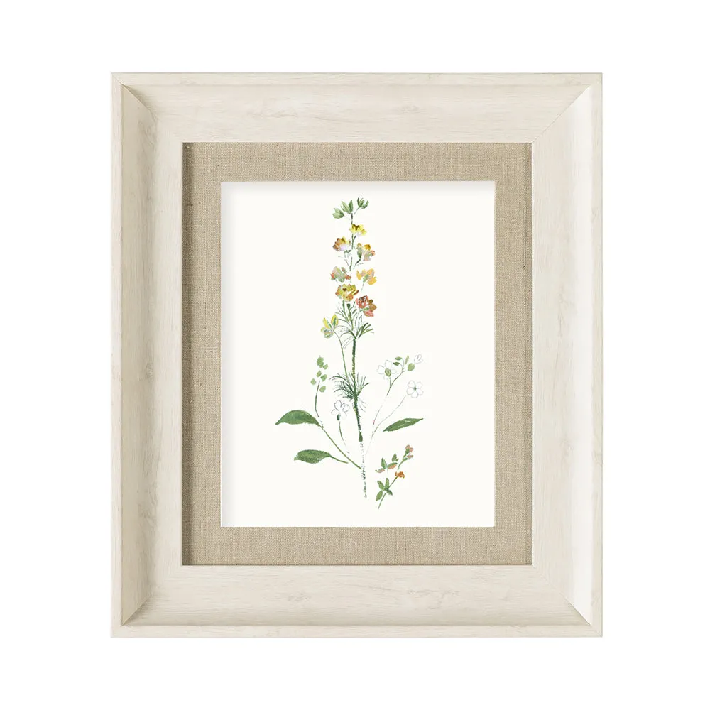 Bonnie Framed Print Birch