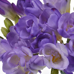 Grape Designer Freesia Flower