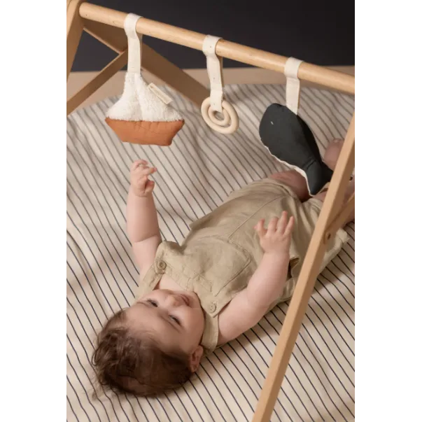 Growing Green Arch Toys VARIOUS STYLES