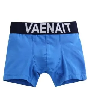 Modern Sea Blue Boys Boxers