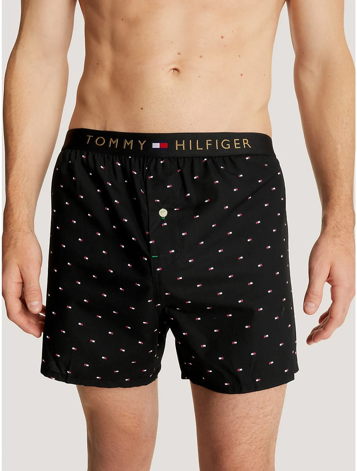 Tommy Hilfiger Men's Regular Fit Microflag Woven Boxer